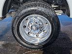 2025 Ford F-450 Crew Cab DRW 4WD Pickup for sale #CUN0650RK - photo 15