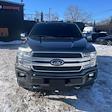 Used 2019 Ford F-150 Platinum SuperCrew Cab for sale #CUN0673 - photo 16