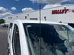 2023 Ford Transit 250 Low Roof RWD Empty Cargo Van for sale #CUN0904 - photo 3