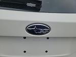 Used 2023 Subaru Outback Premium for sale #CUN0649RK - photo 6