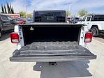 2020 Jeep Gladiator Crew Cab 4x4 Pickup for sale #153435R - photo 14