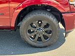 2022 Ram 2500 Crew Cab RWD Pickup for sale #237235D - photo 9
