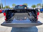 2024 Ram 3500 Regular Cab 4x4 Pickup for sale #404797R - photo 14