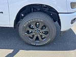 2025 Ram 2500 Mega Cab 4x4 Pickup for sale #5TL20313 - photo 10