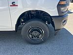 2025 Ram 2500 Crew Cab 4x4 Pickup for sale #5TL20405 - photo 10