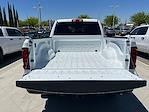 2025 Ram 2500 Crew Cab 4x4 Pickup for sale #5TL20473 - photo 15