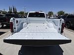 2025 Ram 2500 Crew Cab 4x4 Pickup for sale #5TL20552 - photo 13