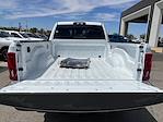 2025 Ram 2500 Crew Cab 4x4 Pickup for sale #5TL20765 - photo 15