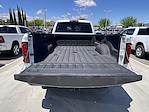 2025 Ram 3500 Crew Cab 4x4 Pickup for sale #5TL30376 - photo 13