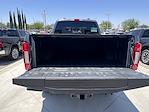 2022 Ford F-250 Crew Cab 4x4 Pickup for sale #D14156R - photo 15