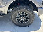 2022 Ford F-250 Crew Cab 4x4 Pickup for sale #D14156R - photo 9