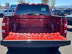 2023 Ford F-150 SuperCrew Cab RWD Pickup for sale #F93093R - photo 19
