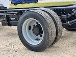 2024 Chevrolet Silverado 5500 Regular Cab DRW 2WD Cab Chassis for sale #CR06043 - photo 14