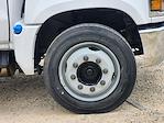 2024 Chevrolet Silverado 5500 Regular Cab DRW 2WD Cab Chassis for sale #CR06043 - photo 8