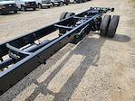 New 2024 Chevrolet Silverado 6500 Work Truck Regular Cab Cab Chassis for sale #CR22575 - photo 15