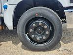 New 2024 Chevrolet Silverado 6500 Work Truck Regular Cab Cab Chassis for sale #CR22575 - photo 7