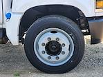 2024 Chevrolet Silverado 5500 Regular Cab DRW 2WD Cab Chassis for sale #CR24901 - photo 8