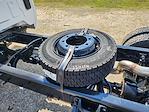 2024 Chevrolet Silverado 5500 Regular Cab DRW 2WD Cab Chassis for sale #CR50114 - photo 14