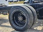 2024 Chevrolet Silverado 4500 Regular Cab DRW 2WD Cab Chassis for sale #CR50316 - photo 13