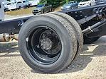 2024 Chevrolet Silverado 5500 Regular Cab DRW 2WD Cab Chassis for sale #CR58405 - photo 13