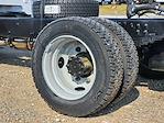 2024 Chevrolet Silverado 5500 Regular Cab DRW 2WD Cab Chassis for sale #CR60172 - photo 14