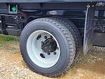 2024 Chevrolet Silverado 5500 Crew Cab DRW 2WD Blue Ridge Manufacturing Dump Truck for sale #CR83446 - photo 13
