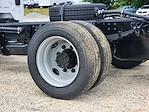 2024 Chevrolet Silverado 5500 Regular Cab DRW 2WD Cab Chassis for sale #CR84009 - photo 14