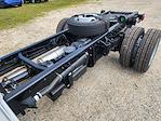 2024 Chevrolet Silverado 5500 Regular Cab DRW 2WD Cab Chassis for sale #CR84009 - photo 17