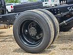 2024 Chevrolet Silverado 5500 Crew Cab DRW 2WD Cab Chassis for sale #CR84013 - photo 13