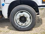 New 2024 Chevrolet Silverado 5500 Regular Cab Service Truck for sale #CR95920 - photo 7