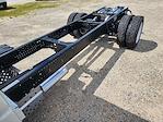 2025 Chevrolet LCF 4500 Crew Cab RWD Cab Chassis for sale #CS11402 - photo 14