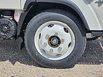 2025 Chevrolet LCF 4500 Crew Cab RWD Cab Chassis for sale #CS11402 - photo 8