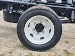 2025 Chevrolet LCF 4500 Regular Cab RWD Cab Chassis for sale #CS11448 - photo 14