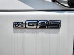 2025 Chevrolet LCF 4500 Regular Cab RWD Cab Chassis for sale #CS11654 - photo 7