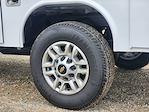 2025 Chevrolet Silverado 2500 Crew Cab SRW 2WD Reading Service Truck for sale #CS54690 - photo 10