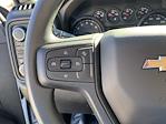 2025 Chevrolet Silverado 2500 Regular Cab 4WD Service Truck for sale #DCS29195 - photo 16