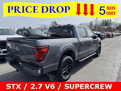 2025 Ford F-150 SuperCrew Cab 4x4 Pickup for sale #25T273 - photo 2