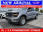 2025 Ford F-150 SuperCrew Cab 4x4 Pickup for sale #25T659 - photo 4