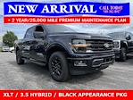 2025 Ford F-150 SuperCrew Cab 4x4 Pickup for sale #25T674 - photo 3