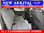2025 Ford F-150 SuperCrew Cab 4x4 Pickup for sale #25T696 - photo 11