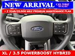2025 Ford F-150 SuperCrew Cab 4x4 Pickup for sale #25T696 - photo 21