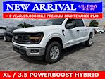 2025 Ford F-150 SuperCrew Cab 4x4 Pickup for sale #25T696 - photo 4
