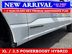 2025 Ford F-150 SuperCrew Cab 4x4 Pickup for sale #25T696 - photo 6