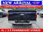 2025 Ford F-150 SuperCrew Cab 4x4 Pickup for sale #25T697 - photo 9