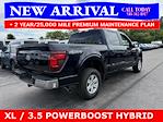2025 Ford F-150 SuperCrew Cab 4x4 Pickup for sale #25T697 - photo 2