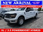 New 2025 Ford F-150 XL SuperCrew Cab 4x4 Pickup for sale #25T698 - photo 4