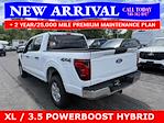 New 2025 Ford F-150 XL SuperCrew Cab 4x4 Pickup for sale #25T698 - photo 8