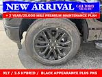 2025 Ford F-150 SuperCrew Cab 4x4 Pickup for sale #25T703 - photo 6