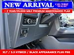 New 2025 Ford F-150 XLT SuperCrew Cab 4x4 Pickup for sale #25T749 - photo 18
