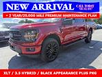 New 2025 Ford F-150 XLT SuperCrew Cab 4x4 Pickup for sale #25T749 - photo 5